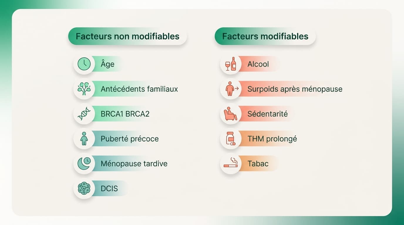 Cancer du sein : facteurs de risque, prévention et dépistage
